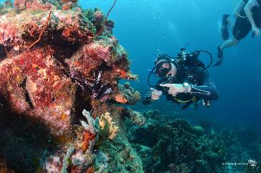 The Perfect Week in Curaçao