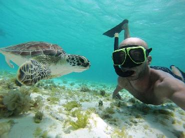 Why Curacao Is The Best Diving Destination Of The Caribbean