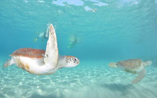 Dive Center Pietermaai